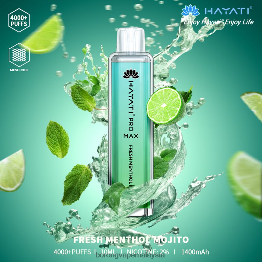 mojito mentol segar
