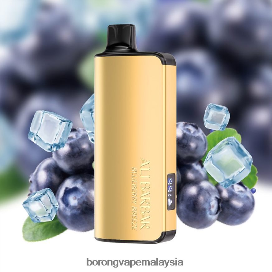 angin blueberry