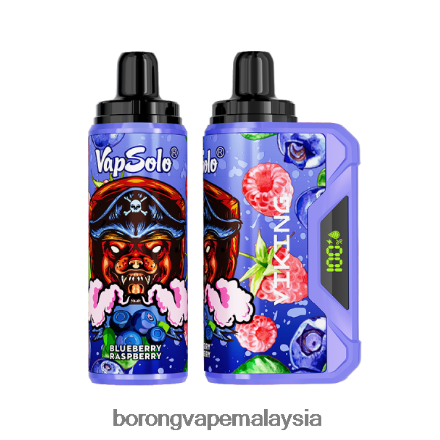 Rokok Elektrik Malaysia - Vapsolo VIKING vape pakai buang raspberi blueberry 6ZF6NJ132