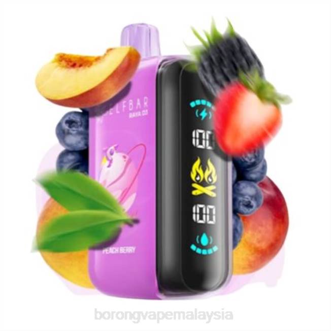 Borong Vape - pakai buang Elf Bar Raya D3 25000 8VFV1