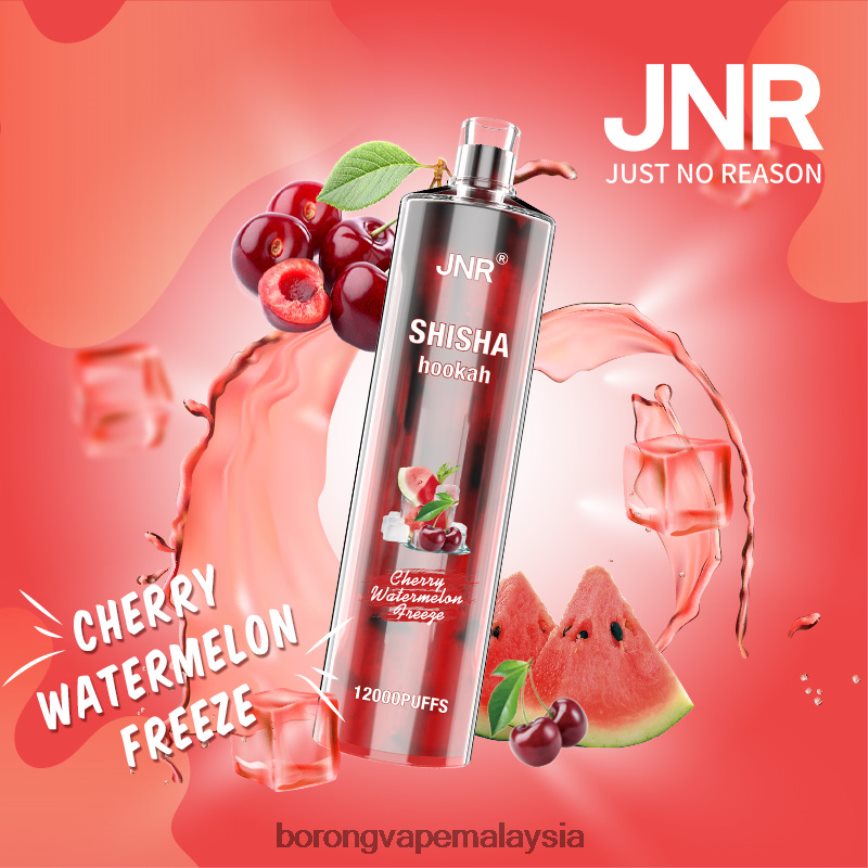Vape Borong Malaysia Review - tembikai ceri beku 88BL20674 JNR SHISHA